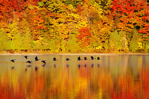 “Autumn: A Visual Feast of Images” features work from 19 members of the Syracuse Camera Club that were taken last fall and are centered around the theme of autumn in the Syracuse area. 